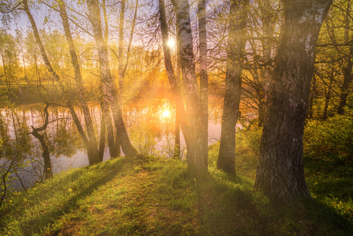 Therapy for Depression