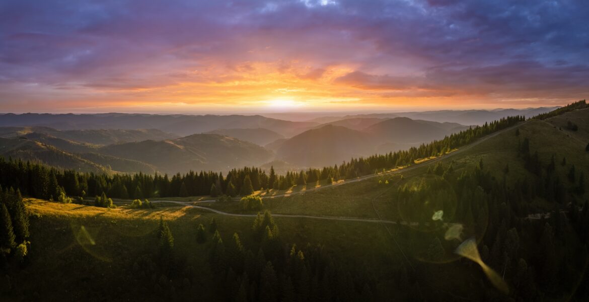 Online therapy for Women