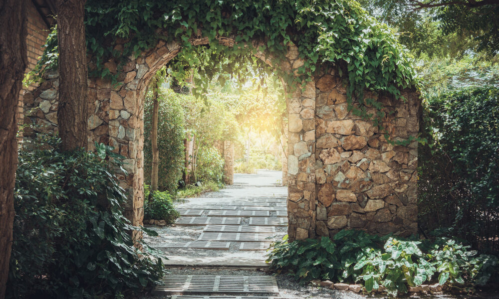 Integrative Therapy