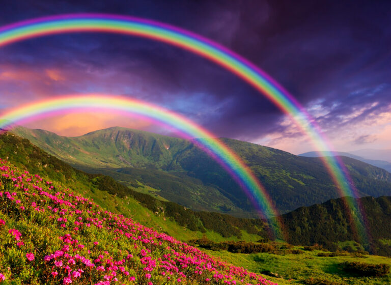 Holistic Life Coaching Holistic Life Coaching