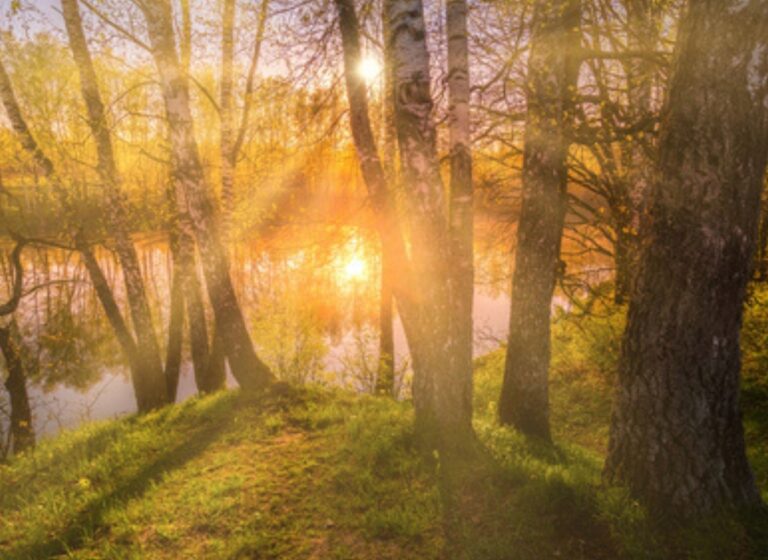 therapy_for_depression therapy_for_depression